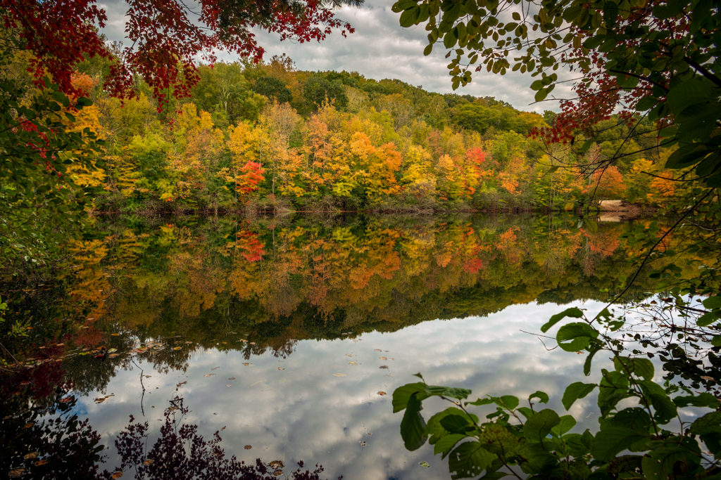 Asigned Subject In Class M By Simmie Reagor For Autumnal Frame Of Mind NOV-2018.jpg